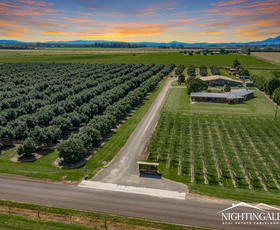 Rural / Farming commercial property for sale at 119 Beantree Road Tolga QLD 4882