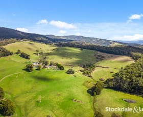 Rural / Farming commercial property for sale at CA 45/ Rules Road Hazelwood South VIC 3840