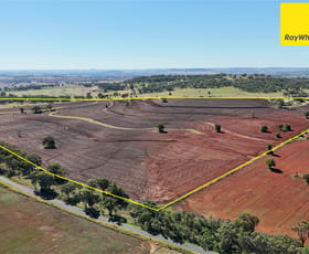 Rural / Farming commercial property sold at 'Dundee"/245 Burts Lane Inverell NSW 2360