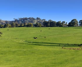 Rural / Farming commercial property sold at Hillgrove 1097 Keajura Road Ladysmith NSW 2652