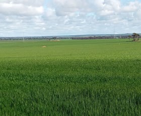 Rural / Farming commercial property sold at 341 De Gruchy Road Kondinin WA 6367