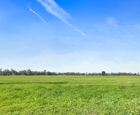 Rural / Farming commercial property sold at 1831 Pelican Back Road Burncluith QLD 4413