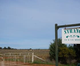 Rural / Farming commercial property for sale at 'Nyrang' 3013 Mid Western Highway West Wyalong NSW 2671