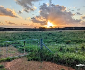 Rural / Farming commercial property sold at Lot 6 Ledge Point Ledge Point WA 6043
