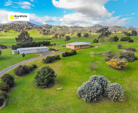 Rural / Farming commercial property sold at 278 Brungle Road Tumut NSW 2720
