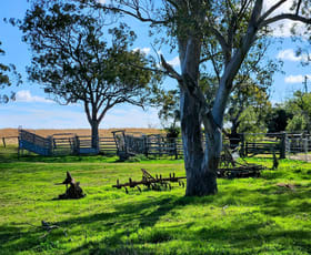 Rural / Farming commercial property for sale at Lot 32/ LOt 167 693 Haden Crows Nest RD Plainby QLD 4355