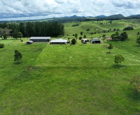 Rural / Farming commercial property for sale at 210 Pheasant Rd Millaa Millaa QLD 4886