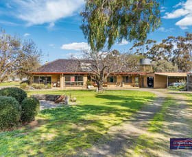 Rural / Farming commercial property sold at 699 Tandarra-Serpentine Road Tandarra VIC 3571