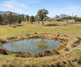 Rural / Farming commercial property sold at "Thane House" 102 Mount Gammie Road Thanes Creek QLD 4370