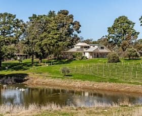 Rural / Farming commercial property for sale at Murray Road Paracombe SA 5132