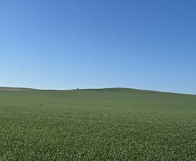 Rural / Farming commercial property sold at 'The Block' Section Smart Road Belalie North SA 5491