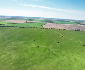 Rural / Farming commercial property sold at 3195 Hoadleys Road Moonie QLD 4406