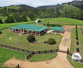 Rural / Farming commercial property for sale at 18109 Clarence Way Woodenbong NSW 2476