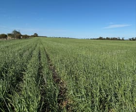 Rural / Farming commercial property sold at Powerline Road Brinkworth SA 5464