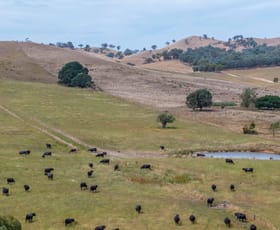 Rural / Farming commercial property for sale at Lot 2/595 Ancona Road Ancona VIC 3715