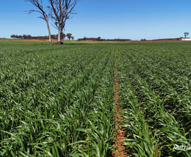 Rural / Farming commercial property for sale at 5670 Soldiers Road West Holleton WA 6369