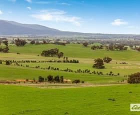 Rural / Farming commercial property sold at Ararat-St Arnaud Road Crowlands VIC 3377