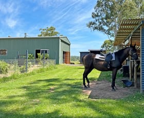 Rural / Farming commercial property for sale at 7888 Bruxner Highway Tabulam NSW 2469