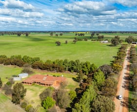 Rural / Farming commercial property sold at 'Clearview'/185 Coreen School Rd Coreen NSW 2646