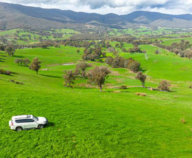 Rural / Farming commercial property sold at 1038 Sandy Creek Road Sandy Creek VIC 3695