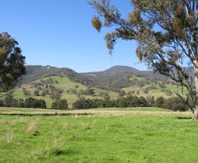 Rural / Farming commercial property sold at "Oakleigh" Nundle Creek Road Nundle NSW 2340