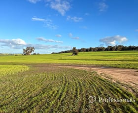 Rural / Farming commercial property for sale at Wedgecarrup WA 6315