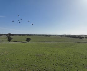 Rural / Farming commercial property sold at 0 Berrimal-Nine Mile Road Nine Mile VIC 3518
