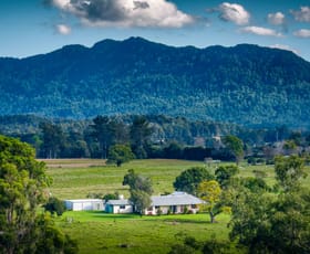 Rural / Farming commercial property for sale at 1531 Waterfall Way Bellingen NSW 2454