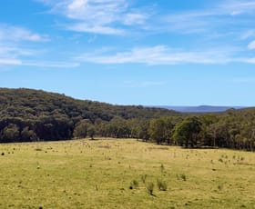 Rural / Farming commercial property for sale at 184 Old Western Road Mount Lambie NSW 2790