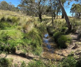 Rural / Farming commercial property for sale at 184 Old Western Road Mount Lambie NSW 2790