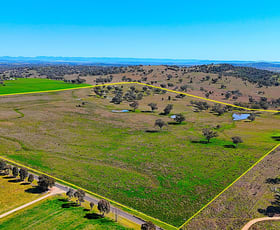 Rural / Farming commercial property for sale at 723 Borah Creek Road Quirindi NSW 2343