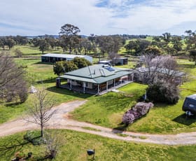 Rural / Farming commercial property for sale at 384 Yellowbox Road Manildra NSW 2865