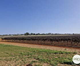 Rural / Farming commercial property sold at C.A 135 Cowanna Avenue South Merbein South VIC 3505