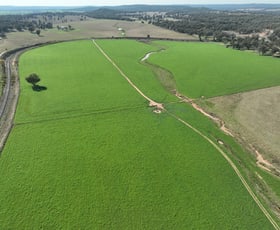 Rural / Farming commercial property for sale at 'Mt Beni South' 259 Merrygoen Road Merrygoen NSW 2831