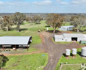 Rural / Farming commercial property for sale at 1790 Harrow-Balmoral Road Balmoral VIC 3407
