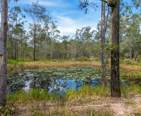 Rural / Farming commercial property for sale at 67 Avin Road Magnolia QLD 4650