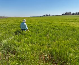 Rural / Farming commercial property sold at 2284/ Garthe Road Aubigny QLD 4401