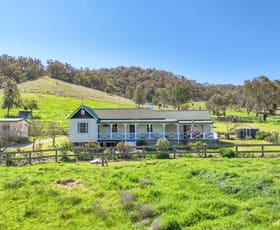 Rural / Farming commercial property for sale at 445 Ogunbil Road Tamworth NSW 2340