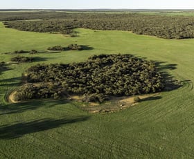 Rural / Farming commercial property sold at 15394 Koorda-Bullfinch Road Chandler WA 6490