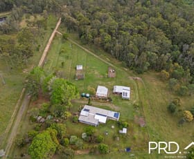 Rural / Farming commercial property for sale at 955 Myall Creek Road Bora Ridge NSW 2471