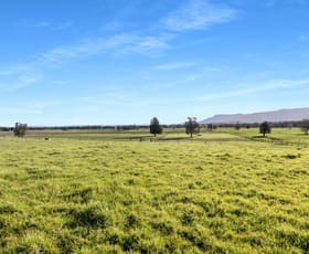 Rural / Farming commercial property for sale at 591 Coolangatta Road Berry NSW 2535