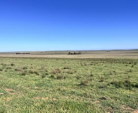 Rural / Farming commercial property sold at "Strathayr" 846 Cleary Road Sunnybrae SA 5422