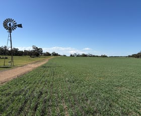 Rural / Farming commercial property sold at Lot 52 Larne Drive Mount Wedge SA 5670