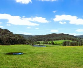 Rural / Farming commercial property for sale at 3300 Great North Road Wollombi NSW 2325