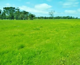Rural / Farming commercial property for sale at 8464 Ulbrich Road Wandering WA 6308