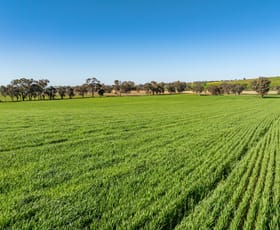 Rural / Farming commercial property sold at 485 Trafalgar South Road Thorpdale VIC 3835