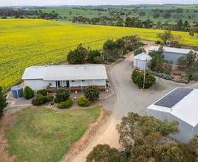 Rural / Farming commercial property sold at 24 Schirmer Rd Saddleworth SA 5413