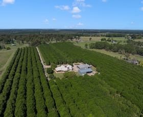 Rural / Farming commercial property for sale at 32 Beerburrum Donnybrook Road Donnybrook QLD 4510