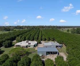 Rural / Farming commercial property for sale at 32 Beerburrum Donnybrook Road Donnybrook QLD 4510