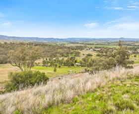 Rural / Farming commercial property for sale at 47B Gallagher Road Tamworth NSW 2340